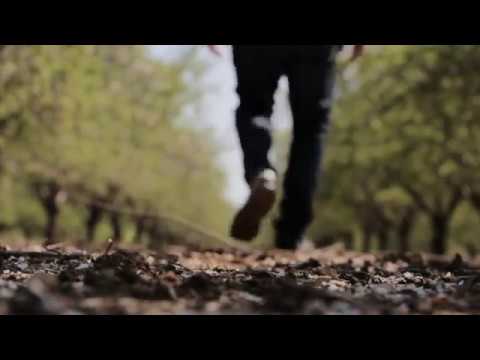 walking-best-background-video-for-website