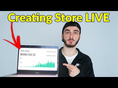 creating-a-500000-shopify-dropshipping-store-live